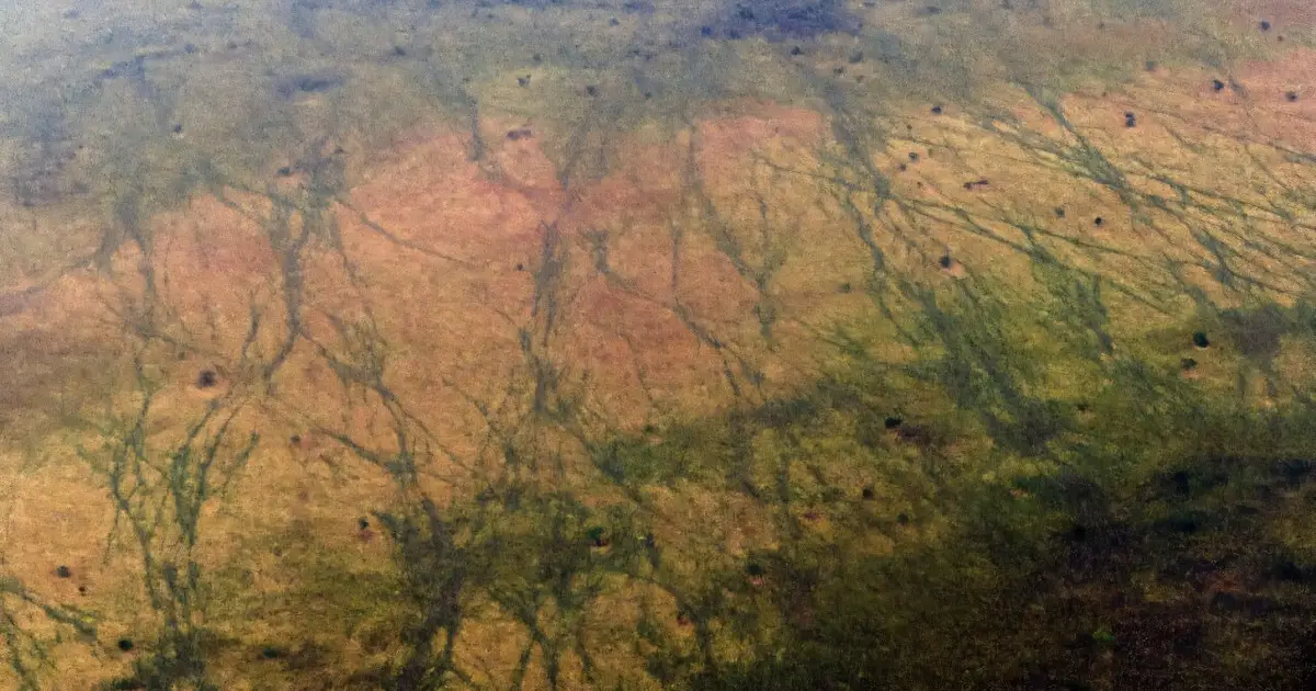 UN to list more sites as 'in danger' from conflict or climate change