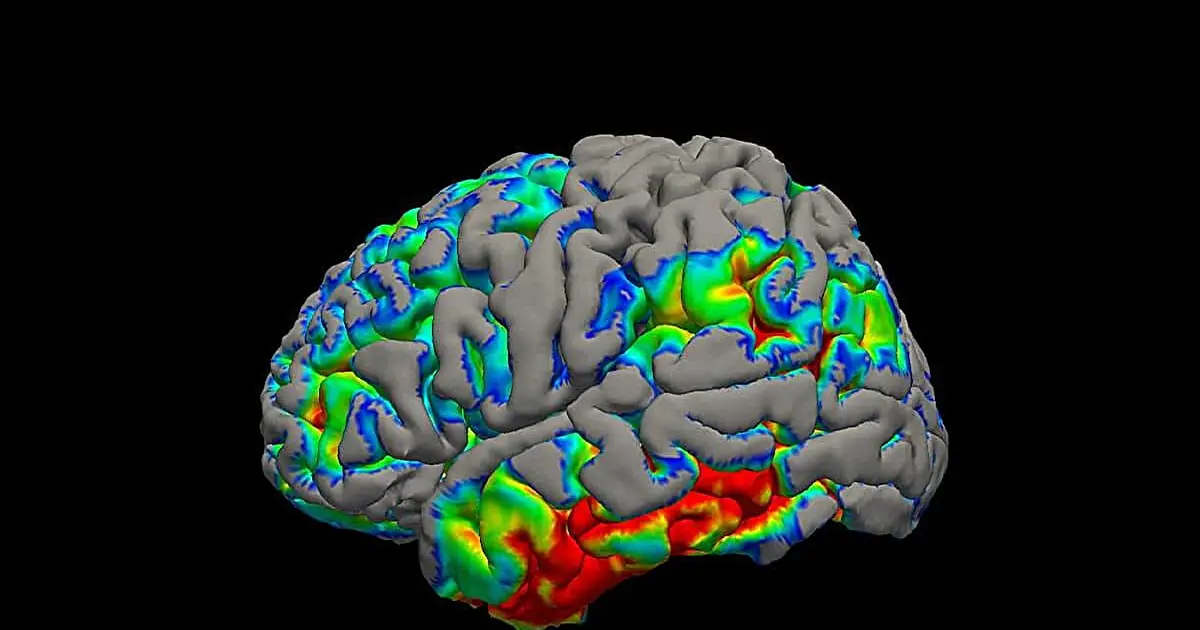 Open-source software standardizes tau PET image analysis for neurodegenerative disease research