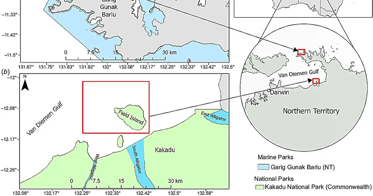 Ph.D. project gives critical insights into vulnerable green turtles
