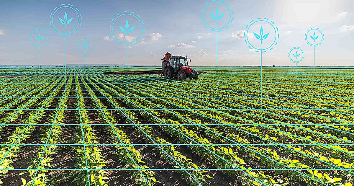 Researchers study how AI could improve weed management