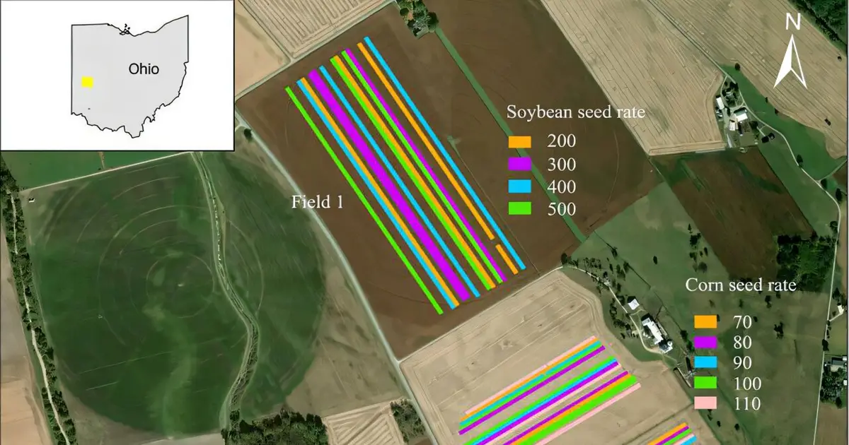 Planting the future: Researchers put AI to work on the farm