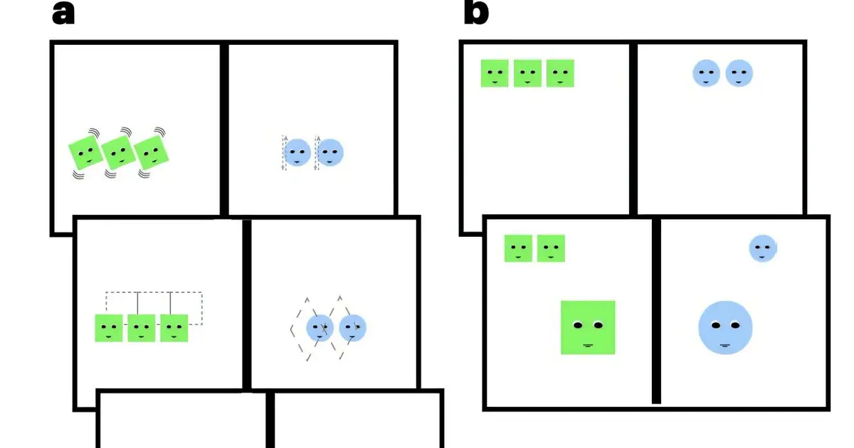Preschool boys favor bigger groups while adults' choices hint at political attitudes