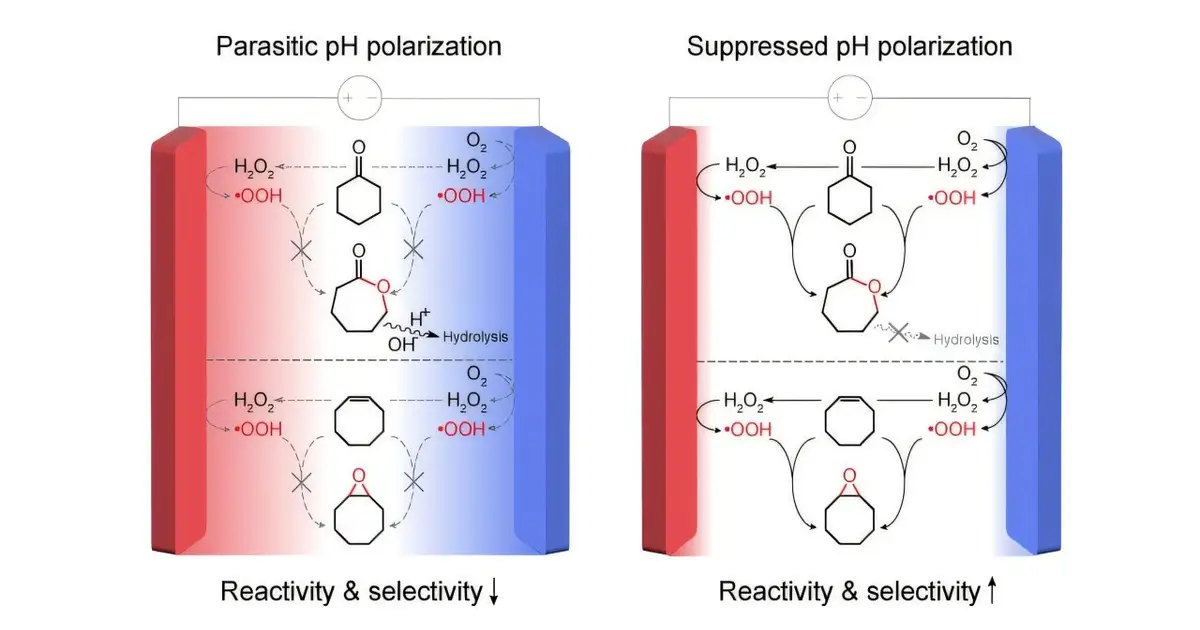 New reactor design improves plastic feedstock synthesis using oxygen and electricity
