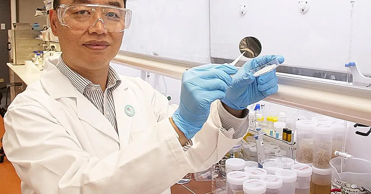 Supercharged 'molecule highway' membrane that speeds water transport could transform industrial processing