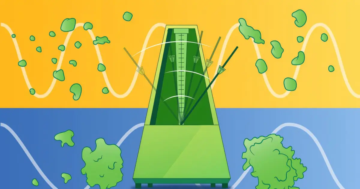 Protein degradation rate helps explain why humans develop more slowly than mice