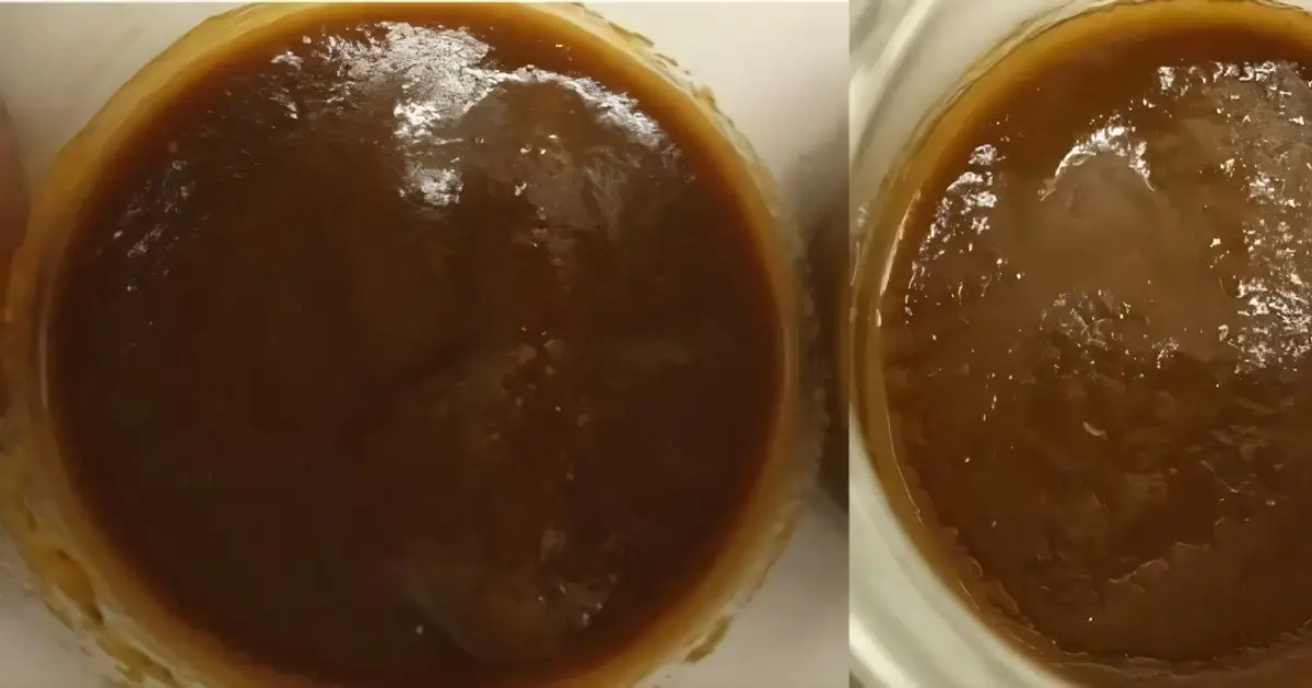 Protein-enriched ketchup gets boost from algae extracts