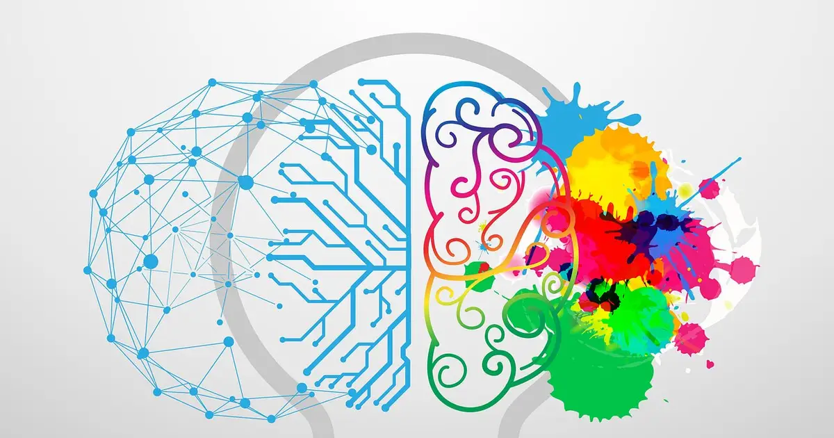Psychologists find our brains use a web of recalled associations to help make decisions that lead to good outcomes