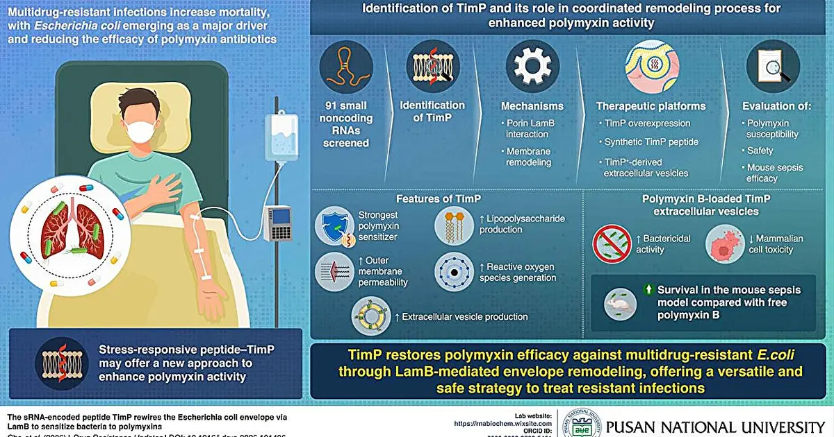 Beyond antibiotics—a paradigm shift toward bacteria-control-centric therapies