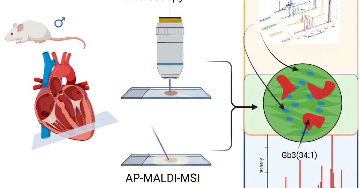 Raman imaging applied to cardiac tissue of Fabry disease model reveals molecular map of lipids in tissue