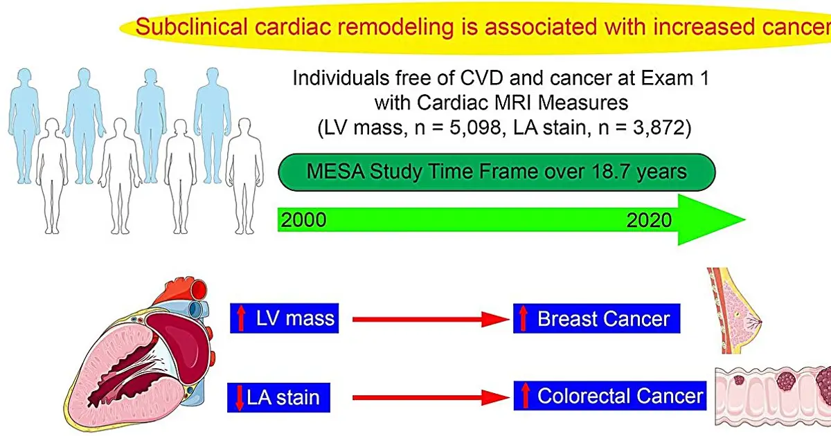 Early heart changes may predict cancer years before diagnosis, long-term study suggests