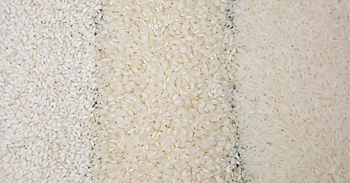 Researchers call for a shift in crop development to tackle hunger, malnutrition, and climate change