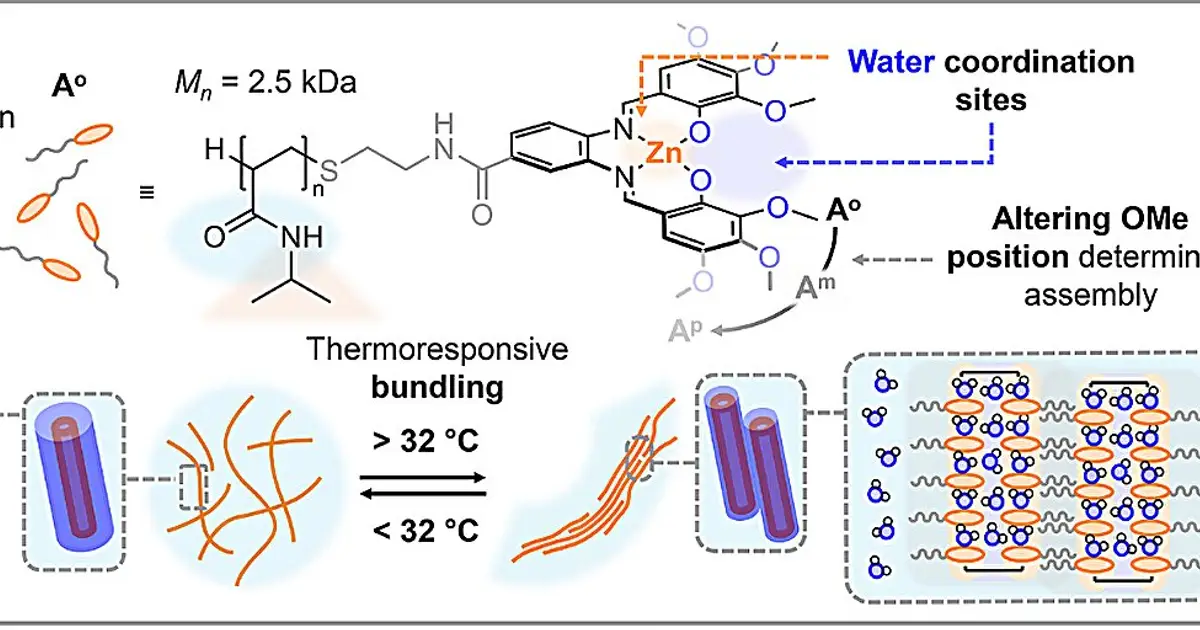 Cell-inspired synthetic fibers reveal a reversible route to self-protecting smart materials