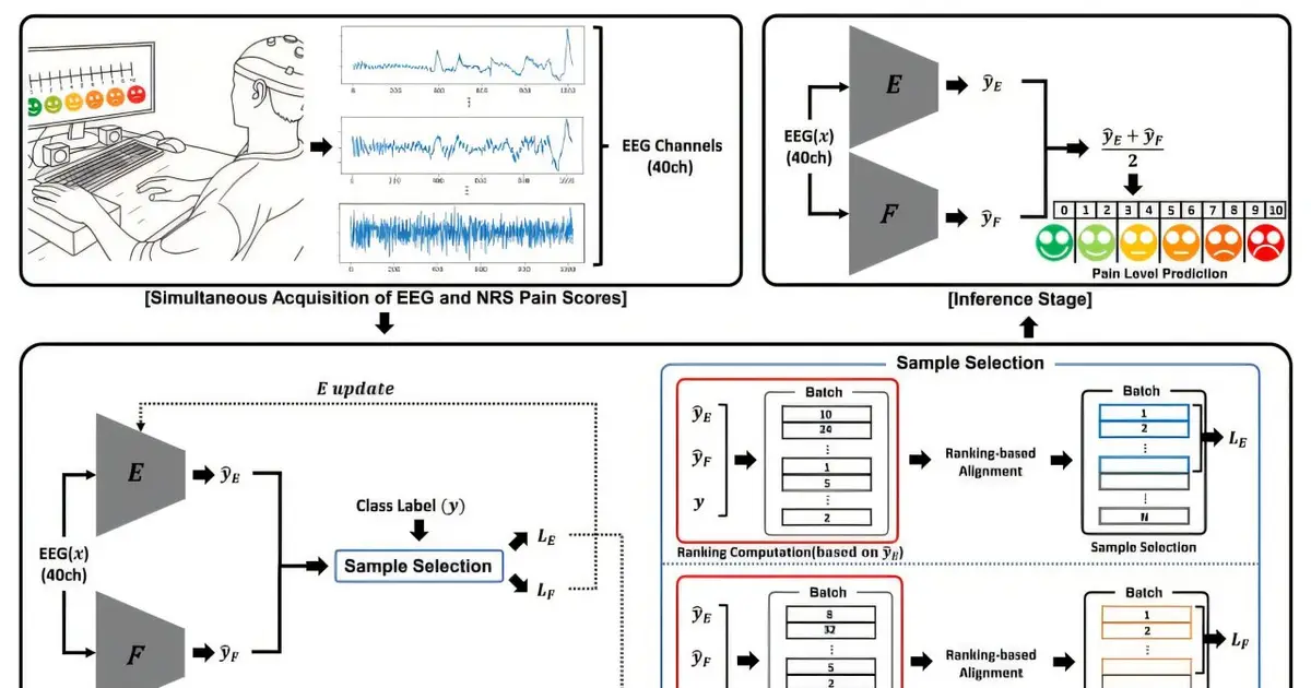Researchers develop world's first AI for objective pain assessment