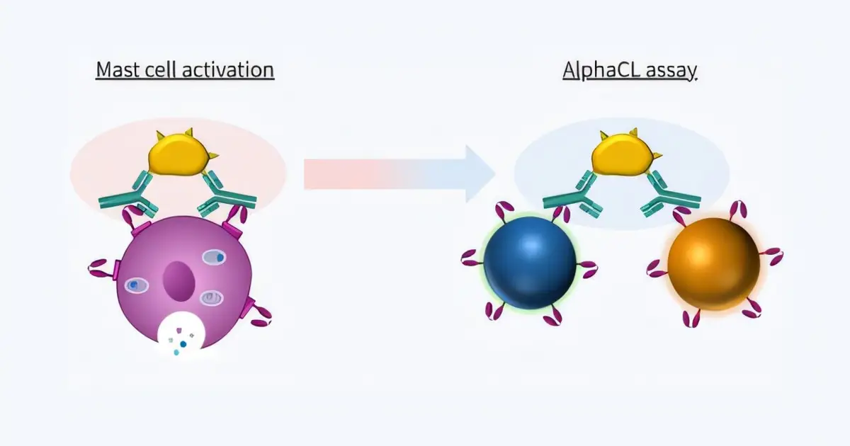 Researchers upgrade allergy test to better detect the antibodies that trigger reactions