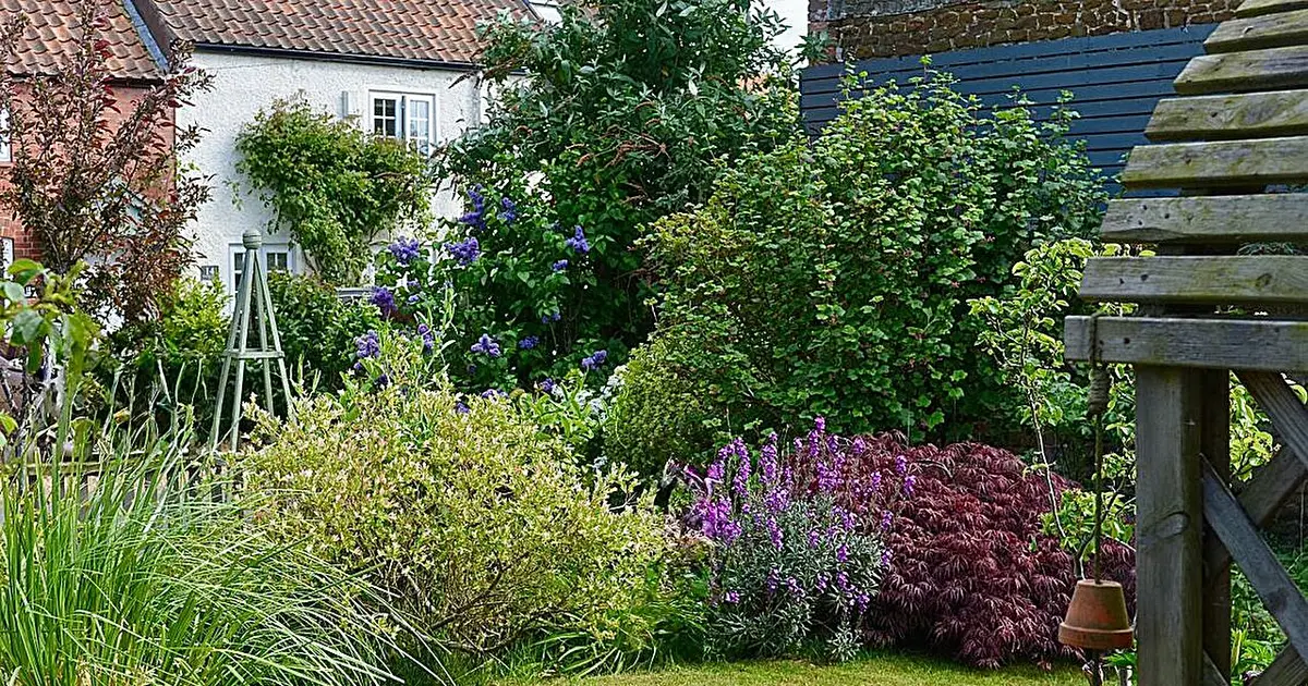 Review finds lack of evidence as to whether planting around our homes reduces the pollution we breathe