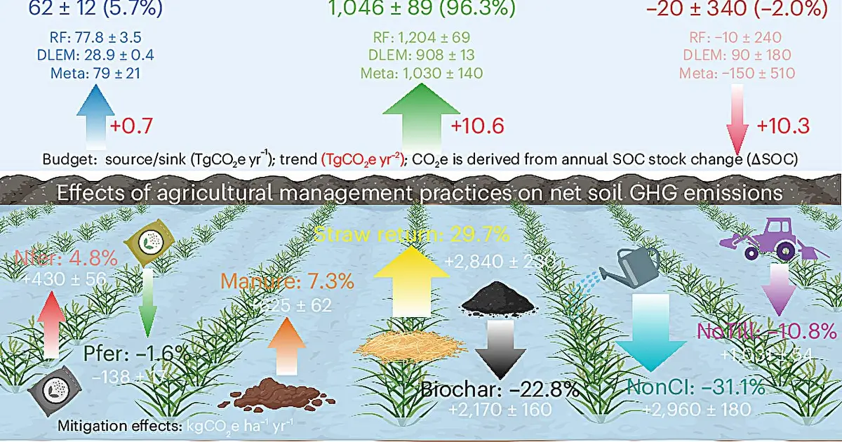 Rice feeds billions of people—but its role in fueling climate change is growing