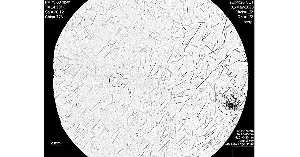 Robotic ocean glider reveals giant phytoplankton chains in the Mediterranean Sea