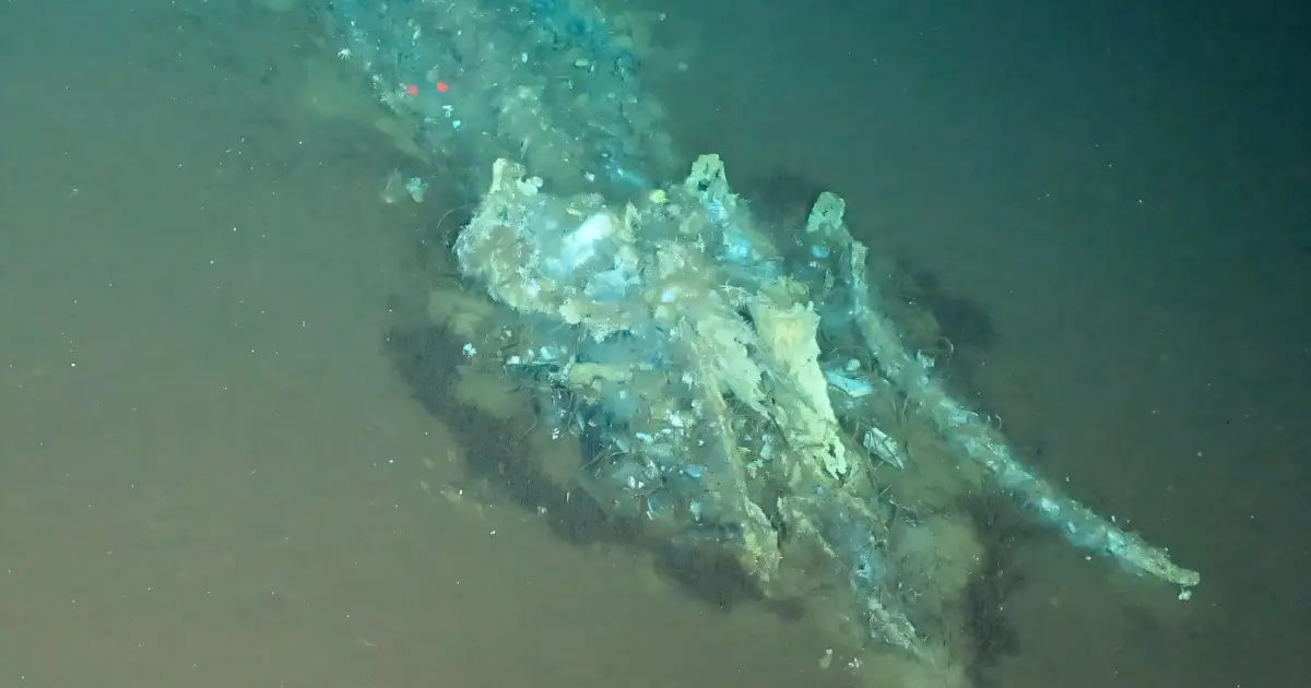 World's largest whale graveyard discovered by Chinese sub