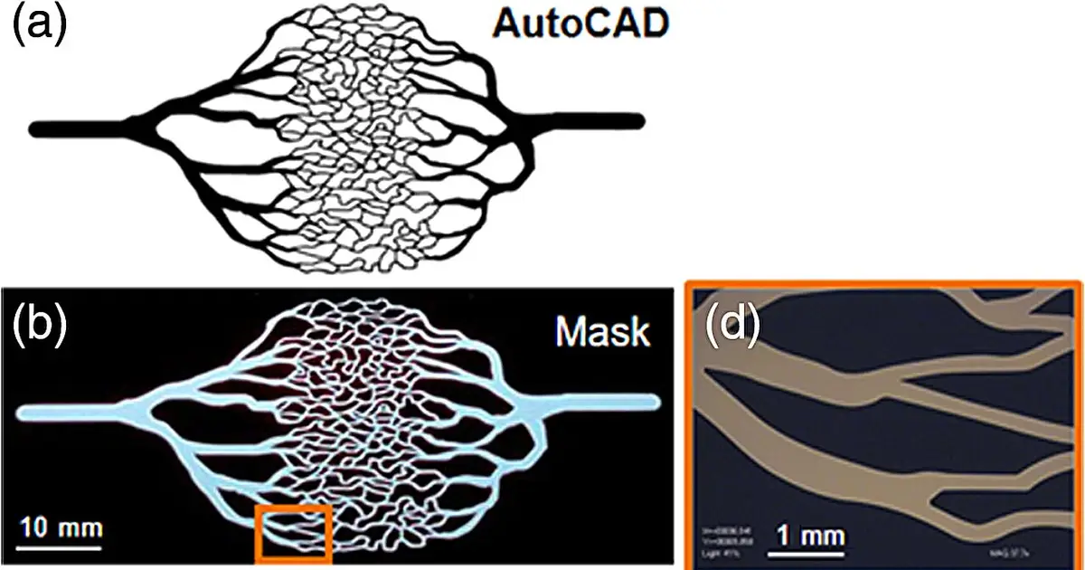 Skin-like test models could help improve medical devices for people of all skin tones