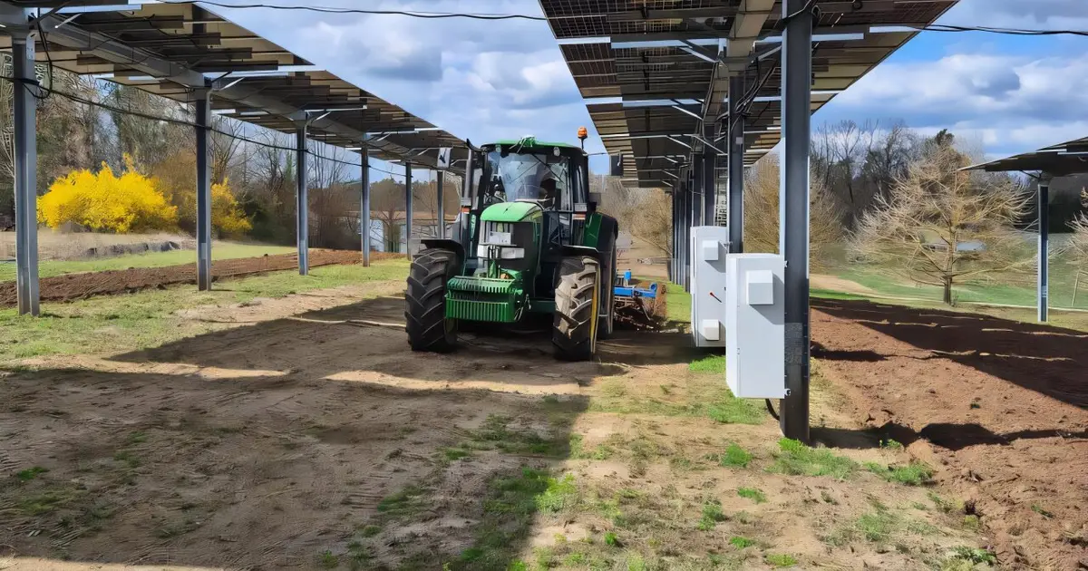 Soil protection measures can make agri-photovoltaics more sustainable