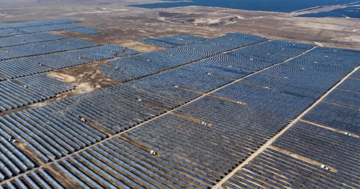 China's solar push linked to bird diversity losses across 2,344 counties