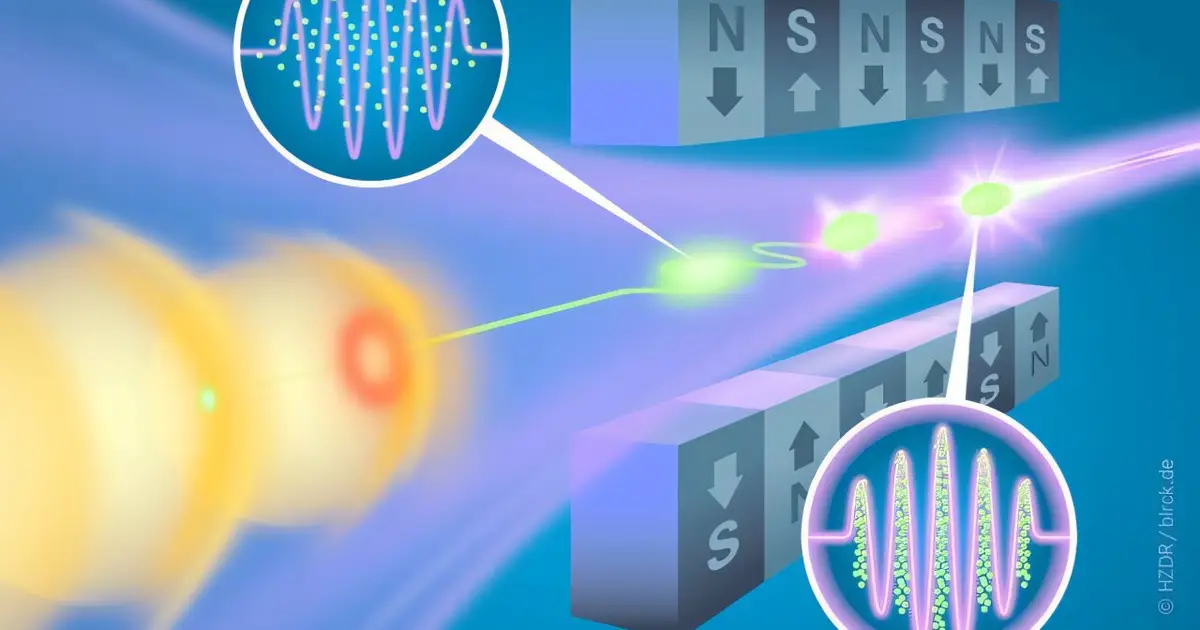 Speedy electrons for brilliant laser light: Research paves the way for compact, inexpensive free-electron lasers