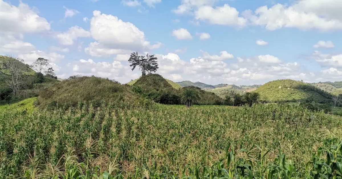 Ancient bones from smaller Maya communities reveal heavy reliance on maize and local subsistence patterns
