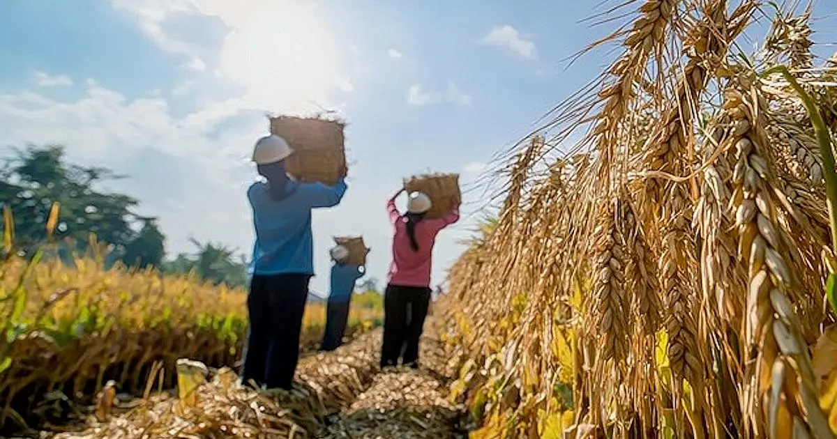 States bet big on rural health startups, with a Silicon Valley twist