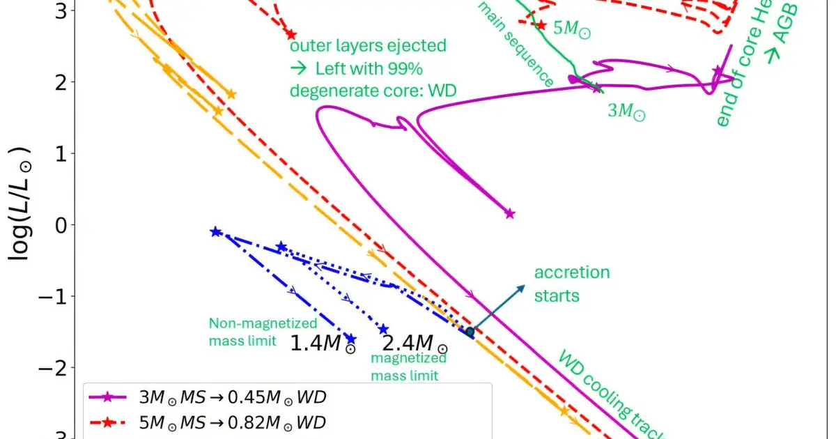 Strong magnetic fields could allow white dwarfs to grow beyond the Chandrasekhar limit