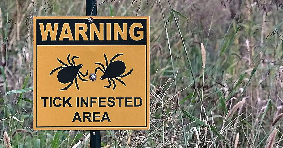 Study identifies low sensitivity of standard, modified two-tiered testing for Lyme disease