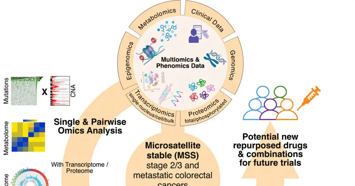 Study identifies potential new treatment targets for the most common type of bowel cancer