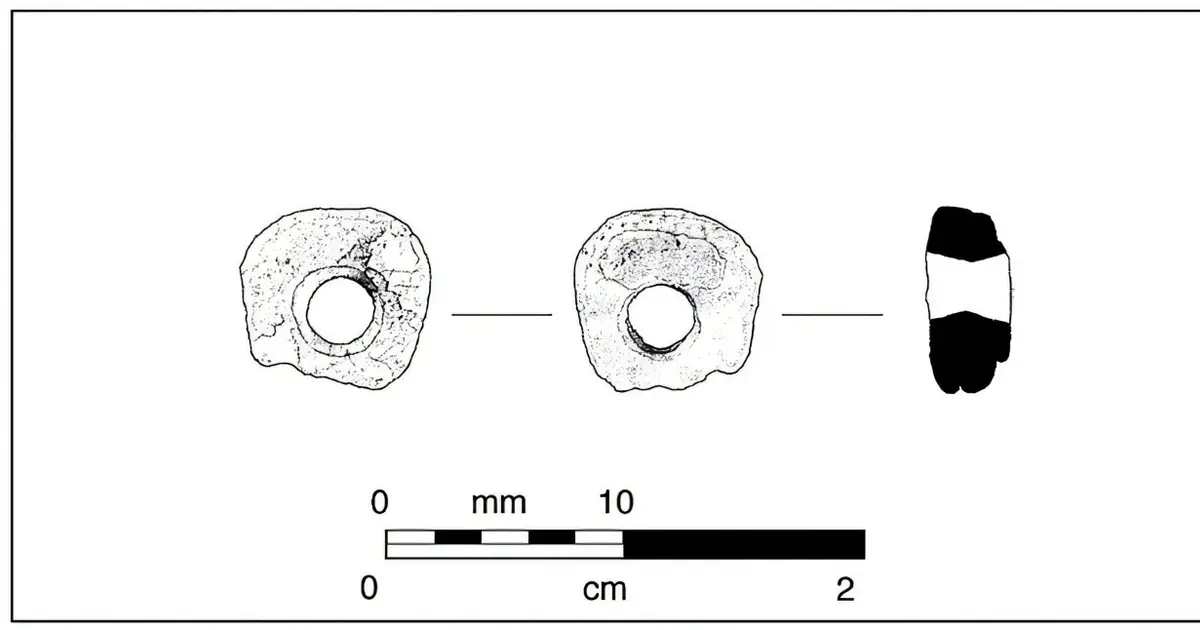 Oldest known giant rock scallop bead suggests California coastal trade began millennia earlier