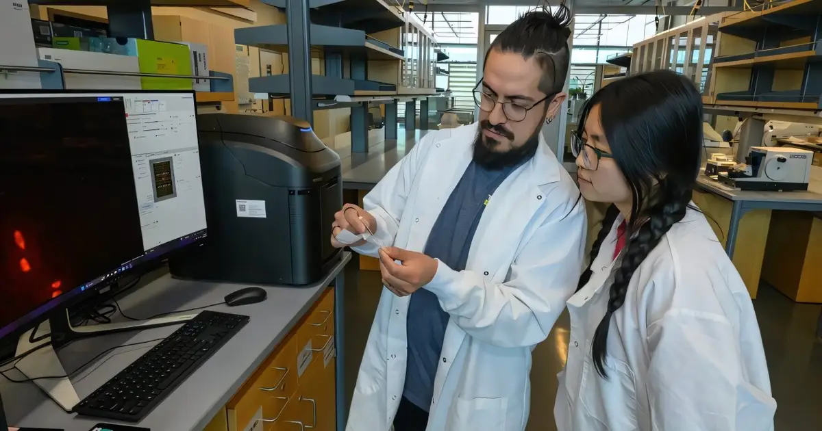 Seasonal gene switch locks fruit flies in winter mode
