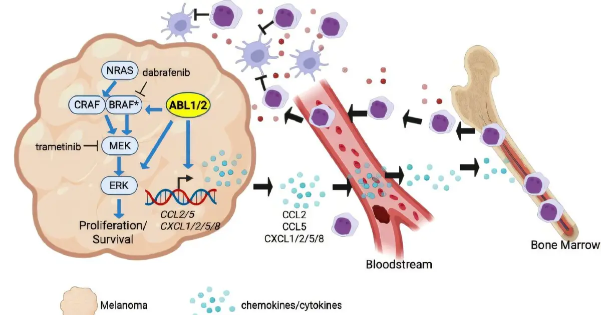 Study reveals how melanoma outmaneuvers both drugs and immune defenses