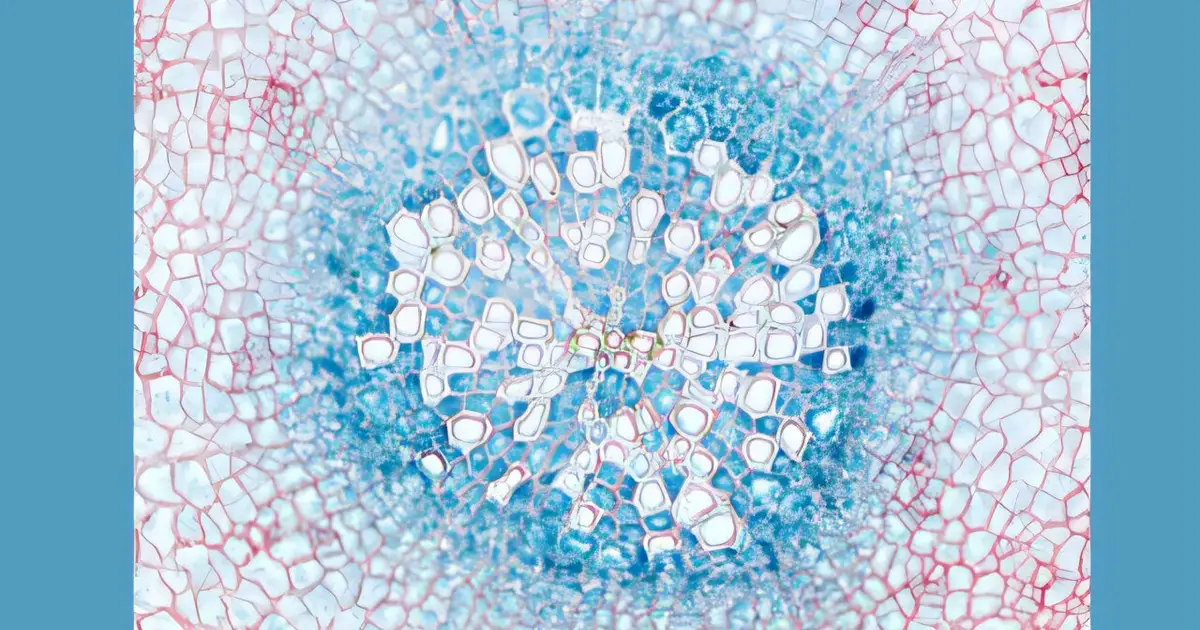 Plant protein pair reveals new wood-formation mechanism