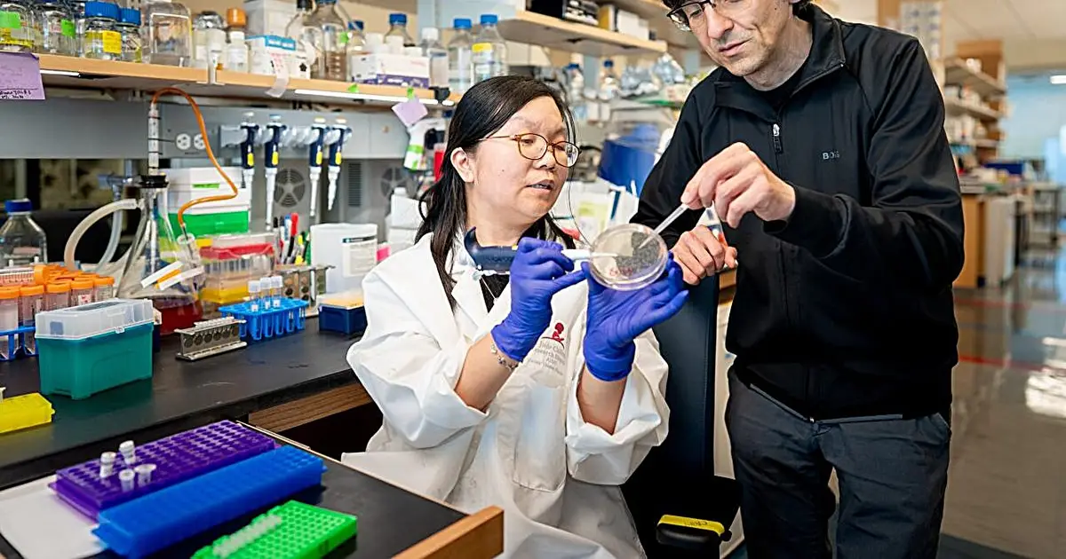 How cells identify and silence unwanted jumping genes