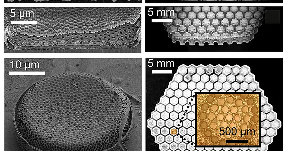 Supersized glassy shell of microalgae reveals optical effect valuable for medical imaging