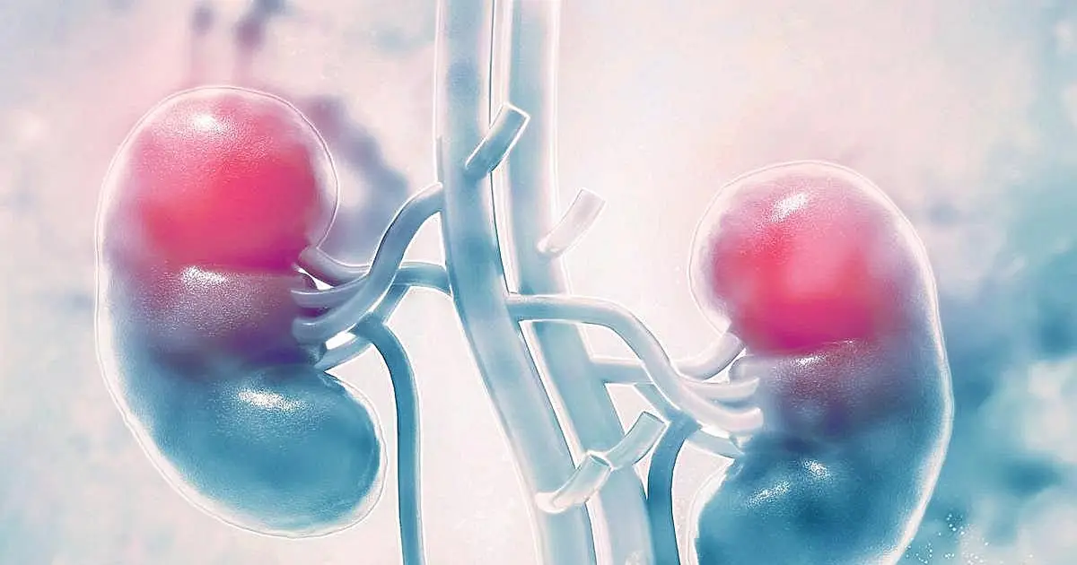 Swept-source optical coherence tomography angiography may predict diabetic nephropathy