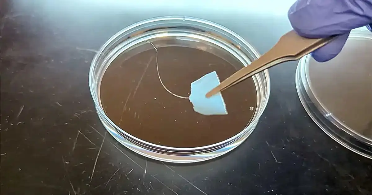 New recyclable protein textiles could cut microplastic pollution and lower clothing waste