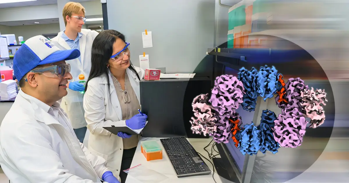 Bacterial enzyme switch could weaken antibiotic defenses in MRSA and other pathogens