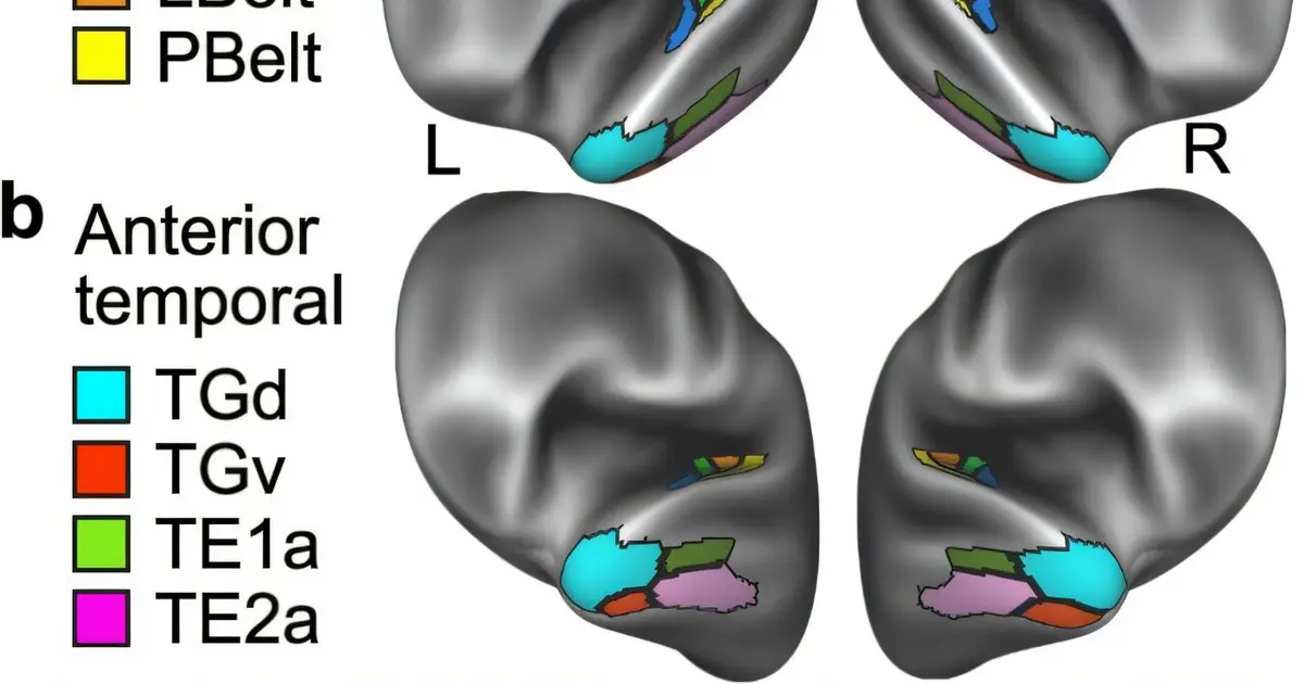The brain isn't hardwired to read—here's how we pull it off and why some are better at it than others