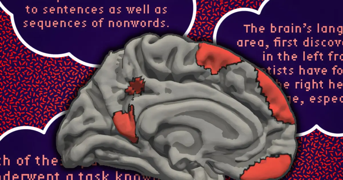 The brain's language network is more extensive than previously thought