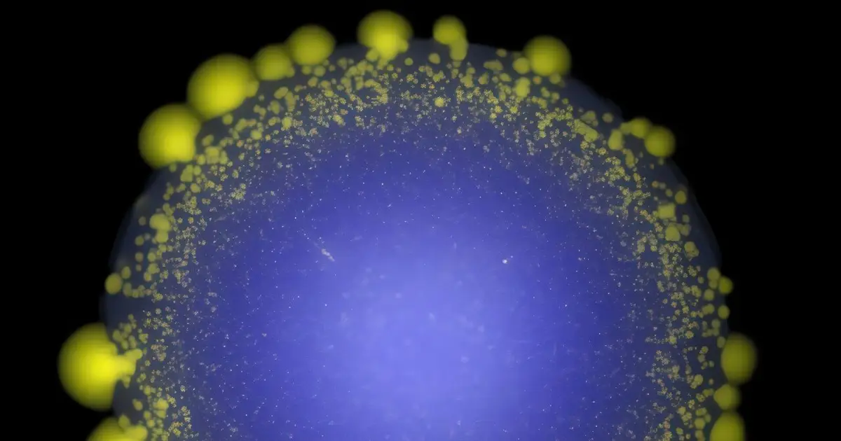 The right timing of treatment keeps resistant cells in check, yeast experiments suggest