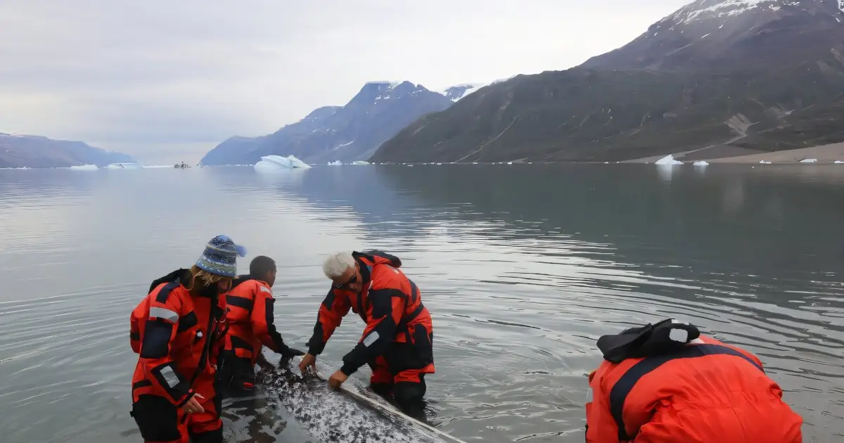 How narwhal 'scientists' track Arctic warming