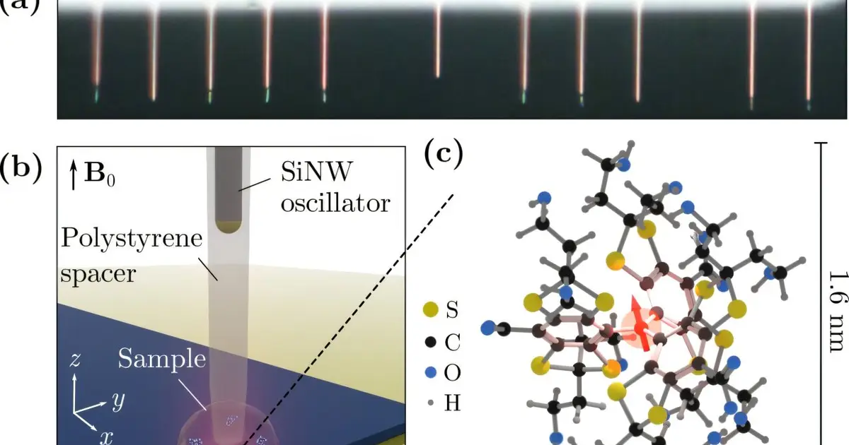 Single molecule becomes quantum sensor for imaging proteins at nanoscale
