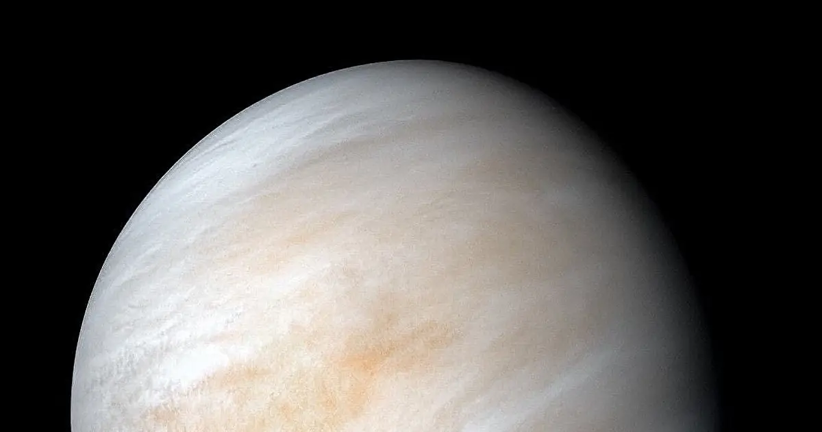 Venus' strange rotation was likely triggered by a high-velocity, moon-sized impactor