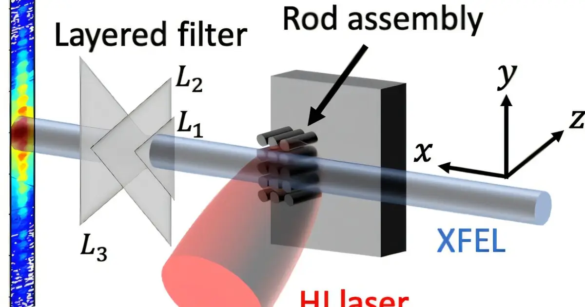 Single X-ray pulse reveals plasma nanostructures across scales with one camera