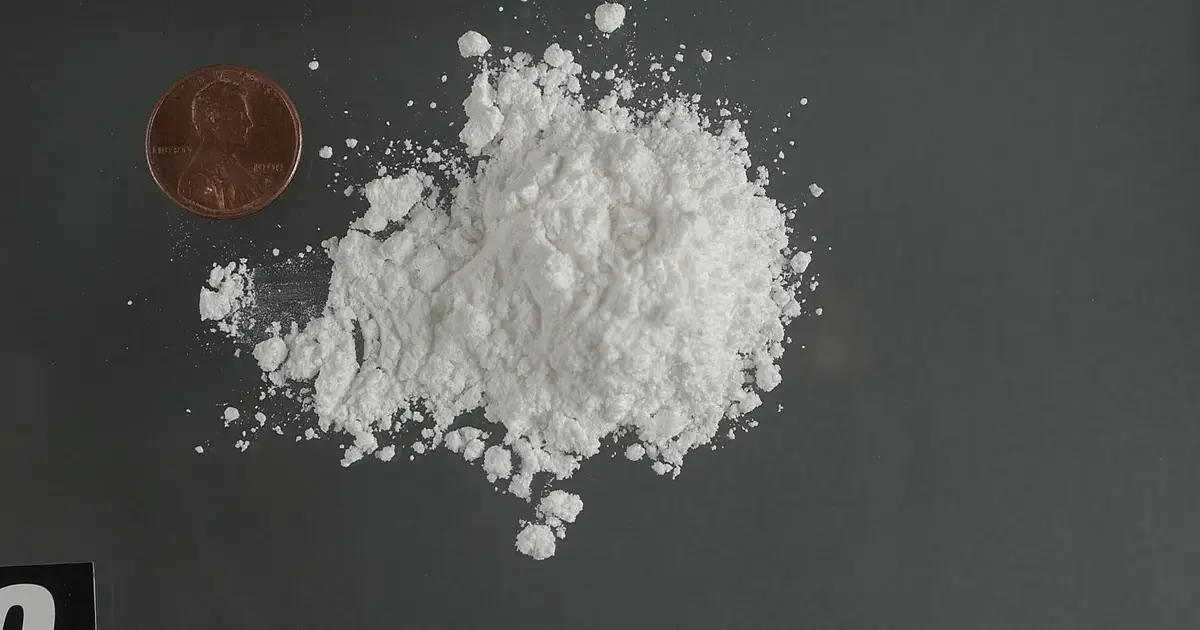 Rise in drug-related deaths and hospitalizations driven by stimulants