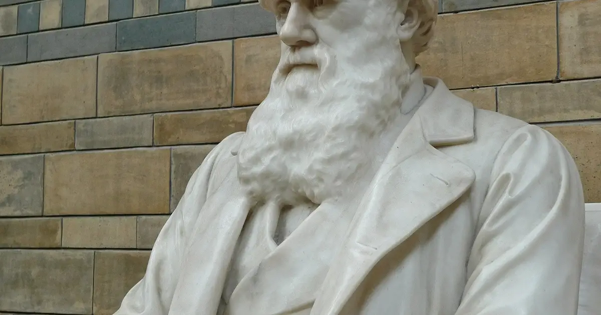 Updating Darwin: Biologists are returning to an older theory to explain anomalies in evolution