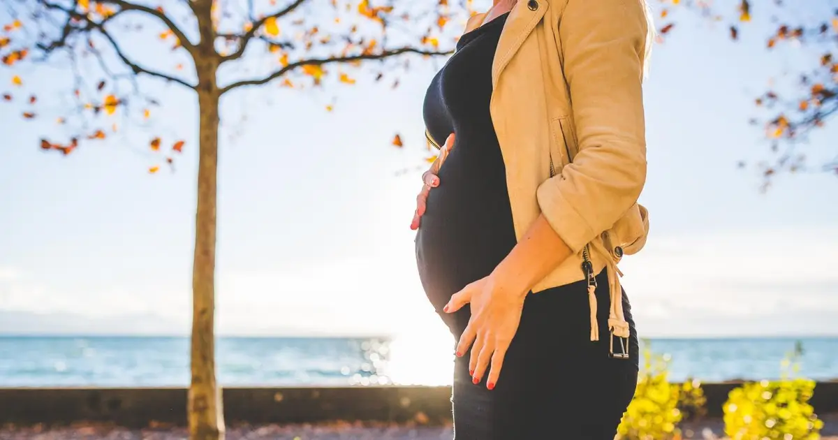 Uterus transplants help women achieve successful pregnancies, analysis shows